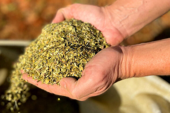 Centenaria Traditional Pure Leaf Yerba Mate 500 g (1,1 lbs)
